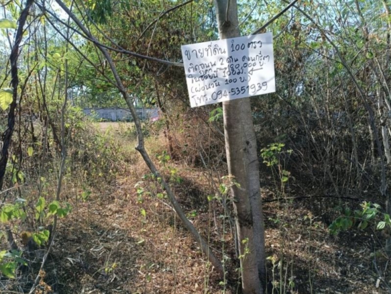 ขายที่ดิน100ตรว.ติดถนนคอนกรีต ข้างหลังเต้นท์รถยนต์ 50เมตร