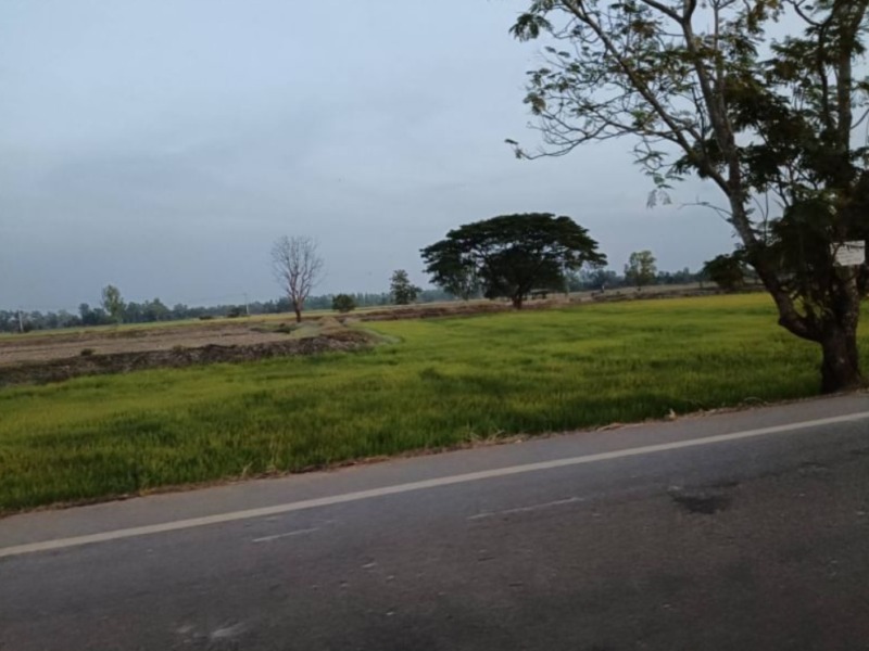 ขายที่นา ติดลำห้วยสาธารณะทำนาได้ 3รอบต่อปี
