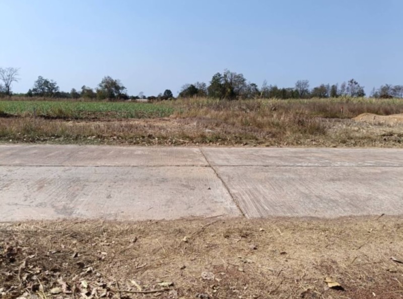 ขายที่ดิน ขนาดเนื้อที่ 100 ตรว.
