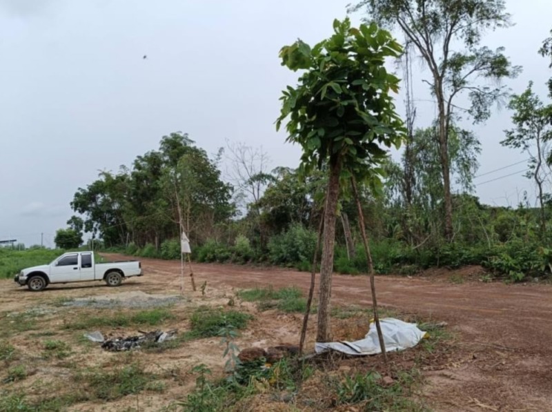 ขายที่ดินติดบ้านคน เนื้อที่ 558 ตรว.