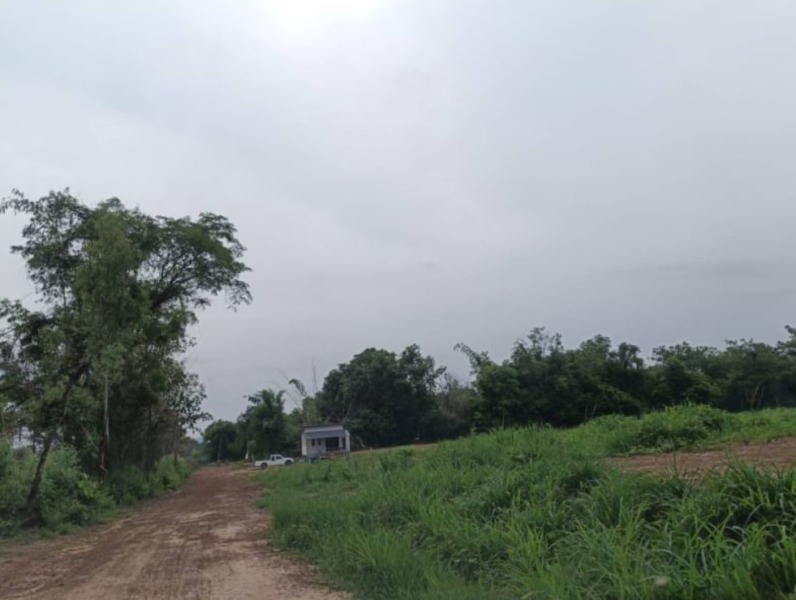 ขายที่ดินติดบ้านคน เนื้อที่ 558 ตรว.