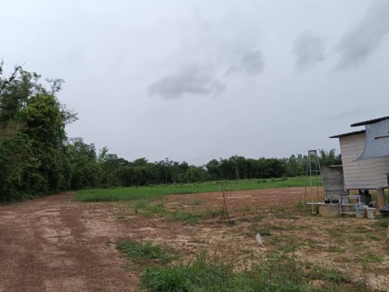 ขายที่ดินติดบ้านคน เนื้อที่ 558 ตรว.