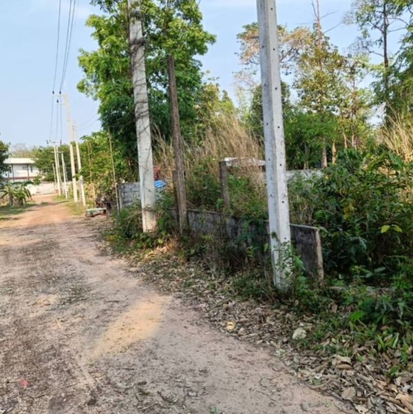 ขายที่ดิน ติดร้านอาหาร ริมบึงหนองโง้ง