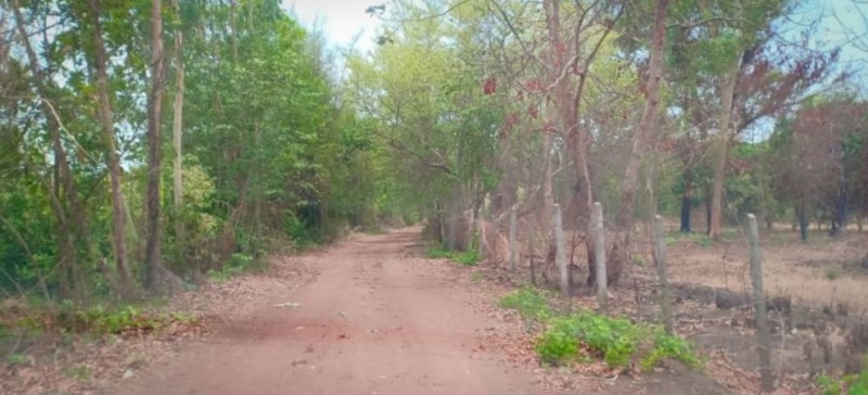 ขายที่ดิน หลังห้างดูโฮมเมืองอุดร