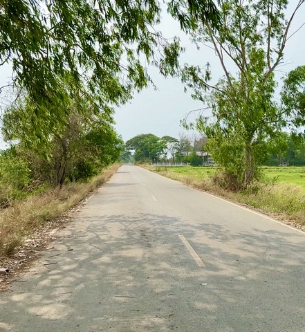 ขายที่ดินแบ่งแปลง ต.แหลมประดู่ อ.บ้านโพธิ์ จ.ฉะเชิงเทรา Laem Pradu Ban Pho เนื้อที่ 100 ตร.วา ใกล้แหล่งชุมชน บรรยากาศดี