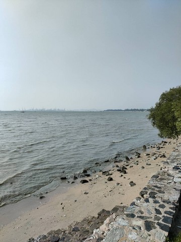 ขายที่ดินแปลงสวยเป็นชายหาดส่วนตัว ติดทะเลพัทยา (หาดกระทิงลาย) พร้อมที่ดินงอก ชลบุรี