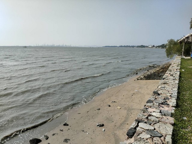 ขายที่ดินแปลงสวยเป็นชายหาดส่วนตัว ติดทะเลพัทยา (หาดกระทิงลาย) พร้อมที่ดินงอก ชลบุรี