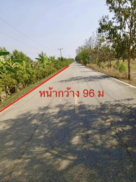 ขาย ที่ดิน สากเหล็ก พิจิตร 6-0-42 ตร.ว.