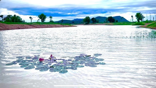 ขายที่ดินจัดสรรแปลงใหญ่ พร้อมทะเลสาบ (ติดถนนหลัก และติดถนนรอง) อู่ทอง จ.สุพรรณบุรี 60-3-0 ไร่ ราคา 23 ล้าน