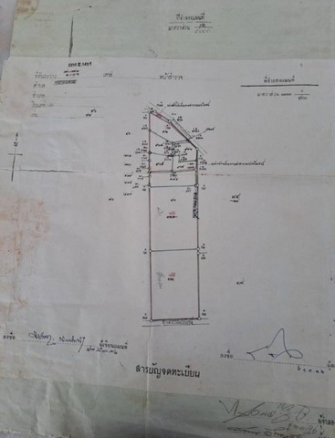 ขายที่ดิน 4 ไร่ หนองบอนแดงบ้านบึง ผังสีเหลือง บนเนื้อที่ 4 ไร่ 15 ตรว แบ่งขายได้