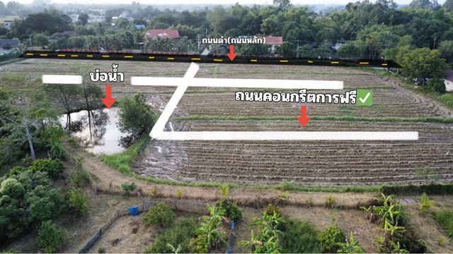 ขายที่ดินเริ่ม51-120ตรว. 453,000บ. ฟรีโอน สาธารณูปโภค ทำเลค้าขาย หมู่3 ต.สง่าบ้าน ต.ดอยสะเก็ด เชียงใหม่