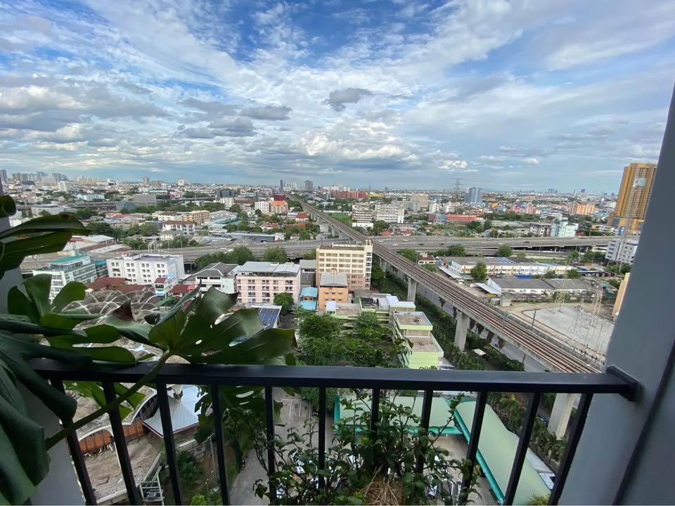 ให้เช่า พลัมคอนโด รามคำแหง สเตชั่น Plum Condo Ramkhamhaeng Station