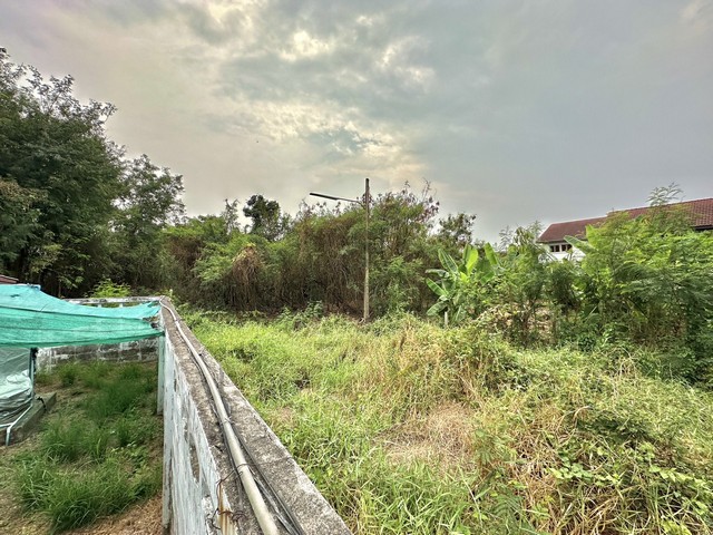 ที่ดินพร้อมบ้าน 1 ไร่ 2งาน 91 ตร.วา ซ.พหลโยธิน 54/4 แยก 3 – ใกล้ BTS คูคต