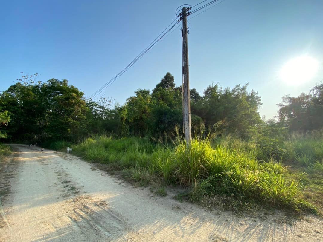 ที่ดินเปล่า 286 ตร.ว. ทำเลดี ใจกลางเมืองบ้านฉาง ระยอง