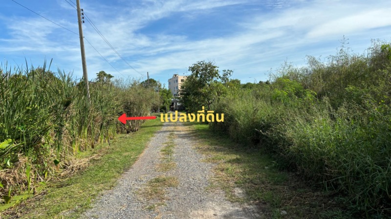 ขายที่ดินเปล่ารูปแปลงสี่เหลี่ยม 263 ตรว. ซอยอ่อนนุช 80 แยก 5