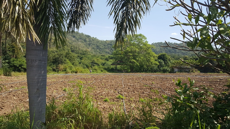 ขายที่ดินสวยติดแม่น้ำป่าสัก วิวภูเขาล้อมรอบ อำเภอแก่งคอย จังหวัดสระบุรี