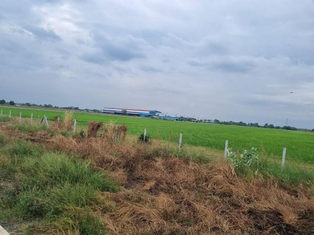 ขายที่ดินถมแล้ว เนื้อที่ 40 ไร่ เขต EEC สีม่วงจุดสีขาว ติดถนนสาธารณะ อ.เมืองฉะเชิงเทรา รถใหญ่เข้าสะดวก