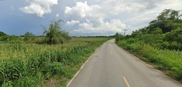ขาย ที่ดิน ถนนสายบ้านตะเคียนทอง อำเภอปากช่อง นครราชสีมา