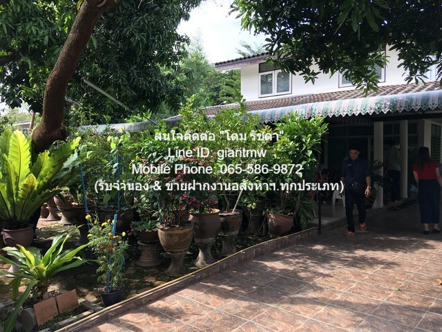 บ้าน บ้านเดี่ยว 2 ชั้น ซอยเรวดี 9 10000000 บ. area 109 ตร.ว. ราคาถูก ใกล้โครงการรถไฟฟ้าสายสีม่วง
