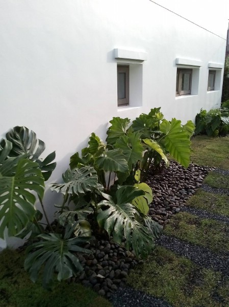 ขายหรือให้เช่าโฮมออฟฟิศ 4 ชั้นย่านลาดพร้าว โครงการ LUXE 35 Luxury Townhome ถนนรัชดาลาดพร้าว ซอยลาดพร้าว35 แขวงจันทรเกษม เขตจตุจักร