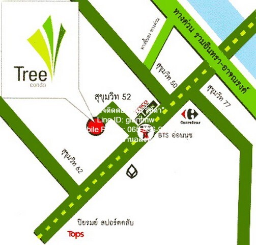 condo Tree Condo Sukhumvit 52 ขนาดพื้นที่ 44 ตร.-ม. 1 BEDROOM ใกล้กับ รถไฟฟ้า BTS อ่อนนุช 250 ม. สภาพแวดล้อมดี เป็นคอนโด