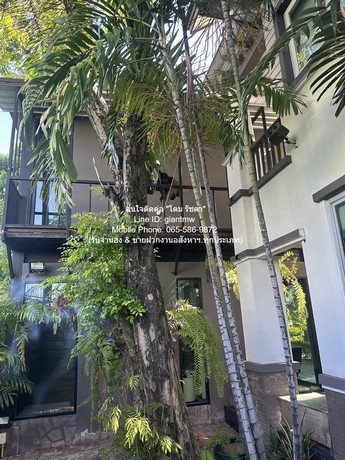 บ้าน ขายบ้านเดี่ยวหรู 2 ชั้น (3 หลัง) ถ.พัฒนาการ 136.9 ตร.ว. 5 น 5 น้ำ 4 จอดรถ (ห่าง ซ.ทองหล่อ 10 นาที), ราคา 54 ล้านบาท