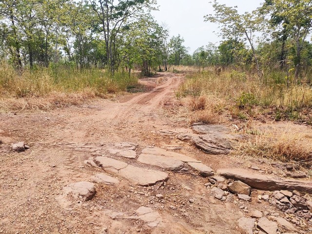 ขายที่ดินทำการเกษตร บรรยากาศดี ใกล้เขื่อนทีปังกร หนองบัวแดง จ.ชัยภูมิ