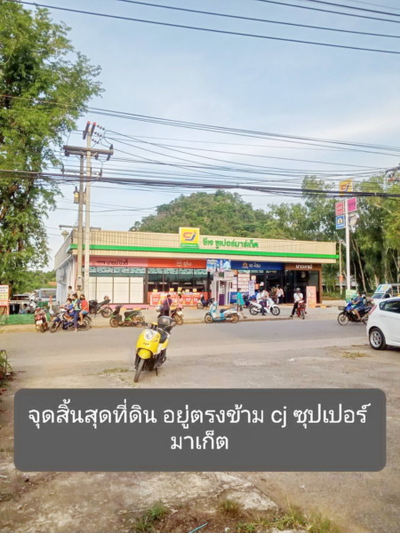 vาย โฉนดครุฑแดง 66 ไร่ หรือ แบ่งvาย 10-20ไร่ อยู่ปากช่อง เขาใหญ่ ติดฟาร์มโชคชัย วิวดี