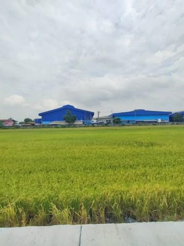ขายที่ดิน 5 ไร่ เขต EEC ติดถนนสาธารณะ ถนนกว้าง 8-10 เมตร รถใหญ่เข้าสะดวก อ.เมืองฉะเชิงเทรา ( ผังสีม่วงจุดสีขาว )