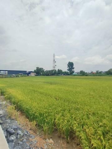ขายที่ดิน 5 ไร่ เขต EEC ติดถนนสาธารณะ ถนนกว้าง 8-10 เมตร รถใหญ่เข้าสะดวก อ.เมืองฉะเชิงเทรา ( ผังสีม่วงจุดสีขาว )