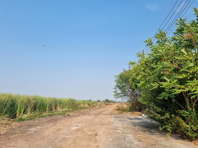 ขายที่ดินทำเลทองเขตEEC 5ไร่-40 ไร่ฟรีถมดินให้เสมอถนน คลองอุดมชลจร เมืองฉะเชิงเทรา ผังที่ดินม่วงจุดสีขาวเหมาะสร้างโรงงานท