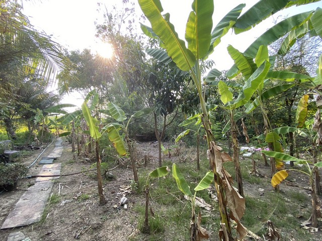 ขายที่ดิน 400 ตร.ว.ย่านนครปฐมศาลายาพุทมณฑลติดถนน4เลนด้านหลังติดคลองนราภิรมย์
