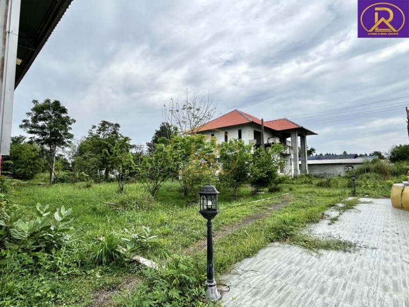 ขายถูกโกดังโรงงานพนัสนิคม 8-1-51 ไร่ พร้อมบ้านเดี่ยวหลังใหญ่ และสนามฟุตบอล ต.ทุ่งขวาง อ.พนัสนิคม จ.ชลบุรี