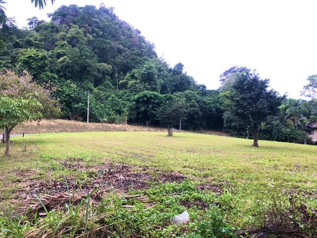 ขายที่ดิน 470 ตรว. มวกเหล็ก สระบุรี แปลงมุม ติดถนน 2 ด้าน ในสนามกอล์ฟเซอร์เจมส์คันทรีคลับ Forest Hill