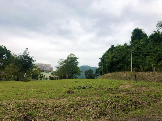 ขายที่ดิน 470 ตรว. มวกเหล็ก สระบุรี แปลงมุม ติดถนน 2 ด้าน ในสนามกอล์ฟเซอร์เจมส์คันทรีคลับ Forest Hill