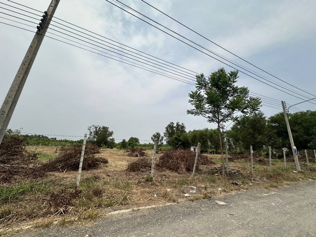 ขายที่ดิน ถมแล้ว ต.หนองสามวัง อ.หนองเสือ ปทุมธานี ใกล้วัดป่าคลอง 15