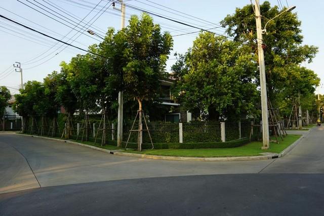 ขายบ้านเดี่ยว2ชั้น 113 ตร.ว ย่านราชพฤกษ์ นนทบุรี ปากเกร็ด หมู่บ้านบุราศิริ ราชพฤกษ์-345