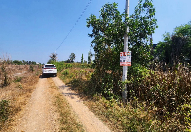 ขายที่ดิน คลอง 5 ซอยคลองห้าตะวันออก 45 อำเภอคลองหลวง ปทุมธานี เนื้อที่ 200 ตร.ว. ต่อรองได้