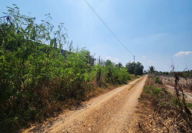 ขายที่ดิน คลอง 5 ซอยคลองห้าตะวันออก 45 อำเภอคลองหลวง ปทุมธานี เนื้อที่ 200 ตร.ว. ต่อรองได้