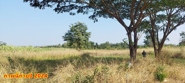 ขายที่ดิน 2ไร่ สวย ทรงสีเหลี่ยมผืนผ้า ใกล้แม่น้ำแควน้อย อยู่บ้านท่ามะเดื่อ หมู่2 จ.กาญจนบุรี อ.ไทรโยค ต.ศรีมงคล โทร 0810117012