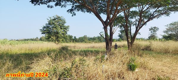 ขายที่ดิน 2ไร่ สวย ทรงสีเหลี่ยมผืนผ้า ใกล้แม่น้ำแควน้อย อยู่บ้านท่ามะเดื่อ หมู่2 จ.กาญจนบุรี อ.ไทรโยค ต.ศรีมงคล โทร 0810117012