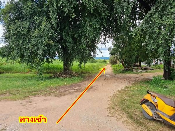 ขายที่ดิน 2ไร่ สวย ทรงสีเหลี่ยมผืนผ้า ใกล้แม่น้ำแควน้อย อยู่บ้านท่ามะเดื่อ หมู่2 จ.กาญจนบุรี อ.ไทรโยค ต.ศรีมงคล โทร 0810117012