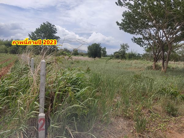 ขายที่ดิน 2ไร่ สวย ทรงสีเหลี่ยมผืนผ้า ใกล้แม่น้ำแควน้อย อยู่บ้านท่ามะเดื่อ หมู่2 จ.กาญจนบุรี อ.ไทรโยค ต.ศรีมงคล โทร 0810117012