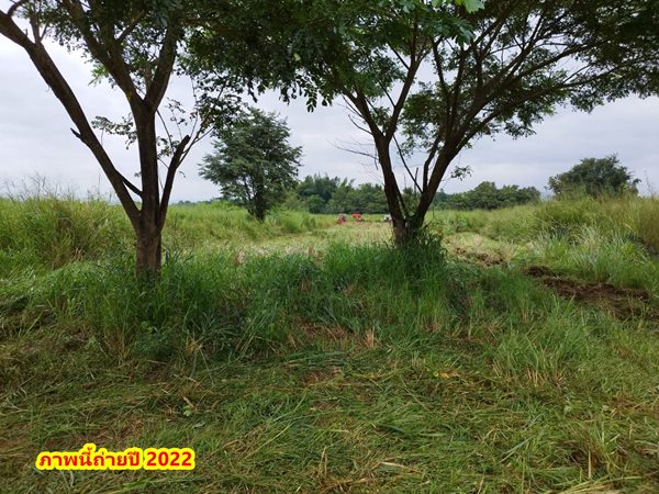 ขายที่ดิน 2ไร่ สวย ทรงสีเหลี่ยมผืนผ้า ใกล้แม่น้ำแควน้อย อยู่บ้านท่ามะเดื่อ หมู่2 จ.กาญจนบุรี อ.ไทรโยค ต.ศรีมงคล โทร 0810117012