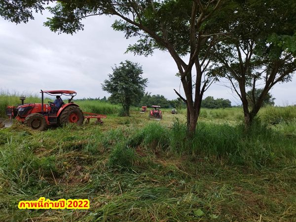 ขายที่ดิน 2ไร่ สวย ทรงสีเหลี่ยมผืนผ้า ใกล้แม่น้ำแควน้อย อยู่บ้านท่ามะเดื่อ หมู่2 จ.กาญจนบุรี อ.ไทรโยค ต.ศรีมงคล โทร 0810117012