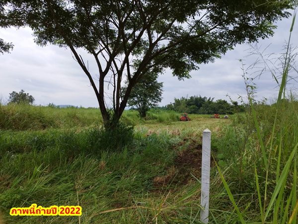 ขายที่ดิน 2ไร่ สวย ทรงสีเหลี่ยมผืนผ้า ใกล้แม่น้ำแควน้อย อยู่บ้านท่ามะเดื่อ หมู่2 จ.กาญจนบุรี อ.ไทรโยค ต.ศรีมงคล โทร 0810117012