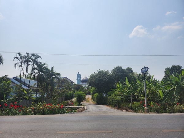 ขายที่ดิน 3ไร่ เขตหนองจอก ด้านหลังตลาดหนองจอก ถ.ผดุงพันธ์ ซ.1 ทำเลธุรกิจ กรุงเทพชั้นนอก ที่ชุมชน ติดถนน โทร 0889879915