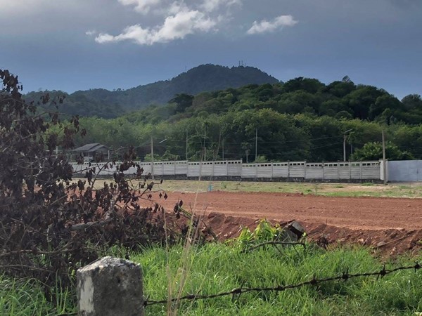 ขายที่สวนทุเรียน เมืองระยอง ติดแหล่งน้ำธรรมชาติ ใกล้ทะเล ด้านหลังเป็นเขายายดา เนื้อที่ 4 ไร่ 3 งาน 29 ตร.ว. ไร่ละ 2.5 ลบ. โทร 0852619111