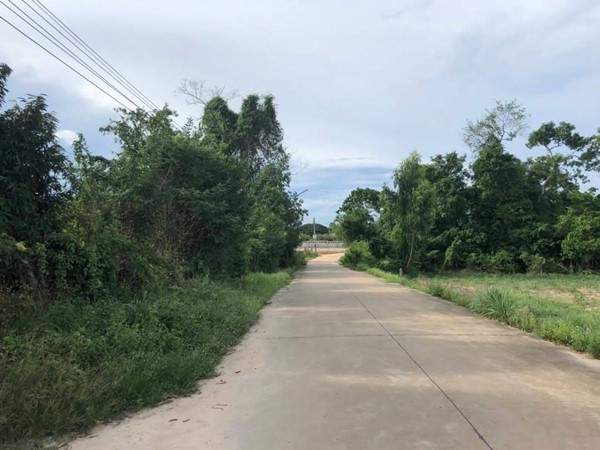 ขายที่สวนทุเรียน เมืองระยอง ติดแหล่งน้ำธรรมชาติ ใกล้ทะเล ด้านหลังเป็นเขายายดา เนื้อที่ 4 ไร่ 3 งาน 29 ตร.ว. ไร่ละ 2.5 ลบ. โทร 0852619111