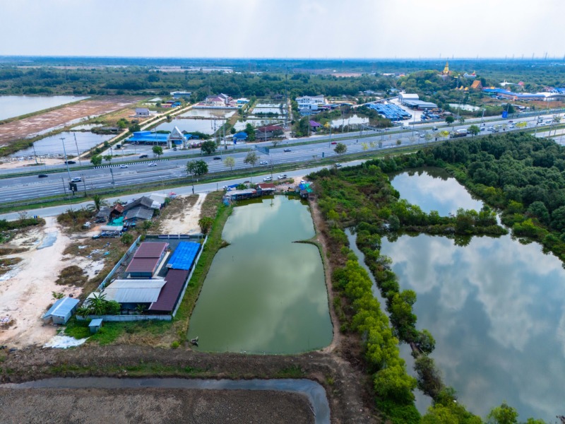 ขายที่สีม่วง 3 ไร่ ผังอีอีซี ติดถนนทางหลวงหมายเลข 3702 รถเทรลเลอร์เข้าได้ อยู่ติดนิคมบลูเทค ต.เขาดิน อ.บางปะกง จ.ฉะเชิงเทรา